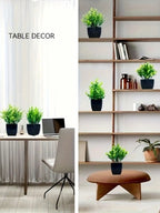 Mini planta artificial de eucalipto em vaso para decoração de interiores I Casa I Escritório I Decoração natural I Interiores I Planta de PVC I Vaso preto